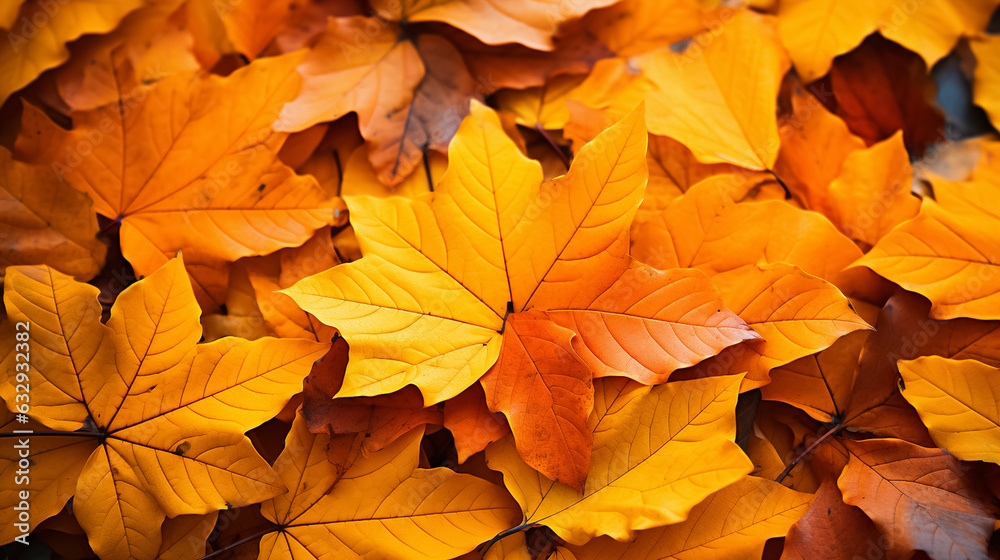 Autumn colorful bright leaves swinging in a tree Autumn colorful bright leaves swinging in a tree