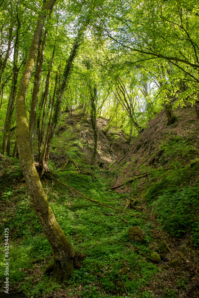 Obraz premium Sentiero dei 18 ponticelli, Sassi di Roccamalatina, provincia di Modena, Emilia Romagna