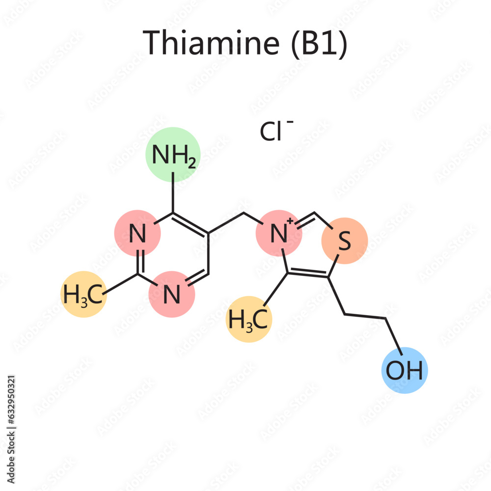 Chemical organic formula of thiamine vitamin B1 diagram schematic
