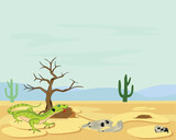 Hot deserted terrain with skull animal and lizard