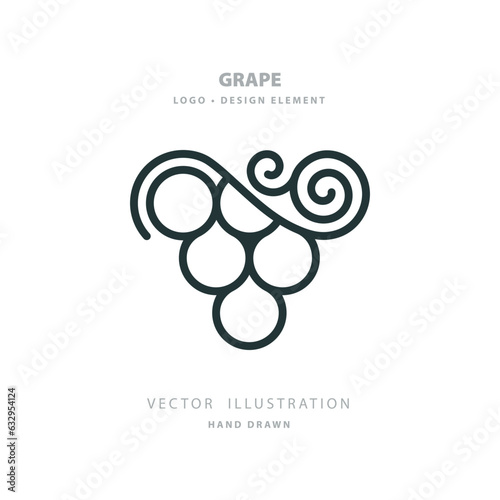 Grape bunch. A hand-drawn grape vector simple illustration. Grape abstract vintage style outline drawing. Part of set.
