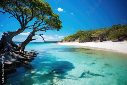 Fraser Island in Australia travel picture