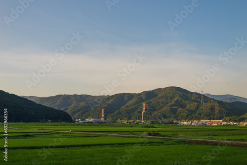 Countryside view at dusk, rice fields