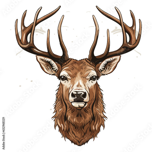 Vector illustration of a realistic reindeer head on white background facing forward