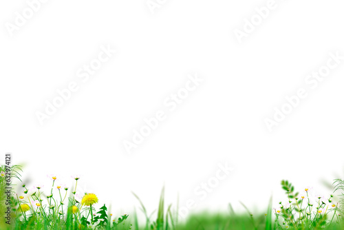 Flowers isolated on transparent background, Flower summer spring flowers png, frame background, border overlay, without background 