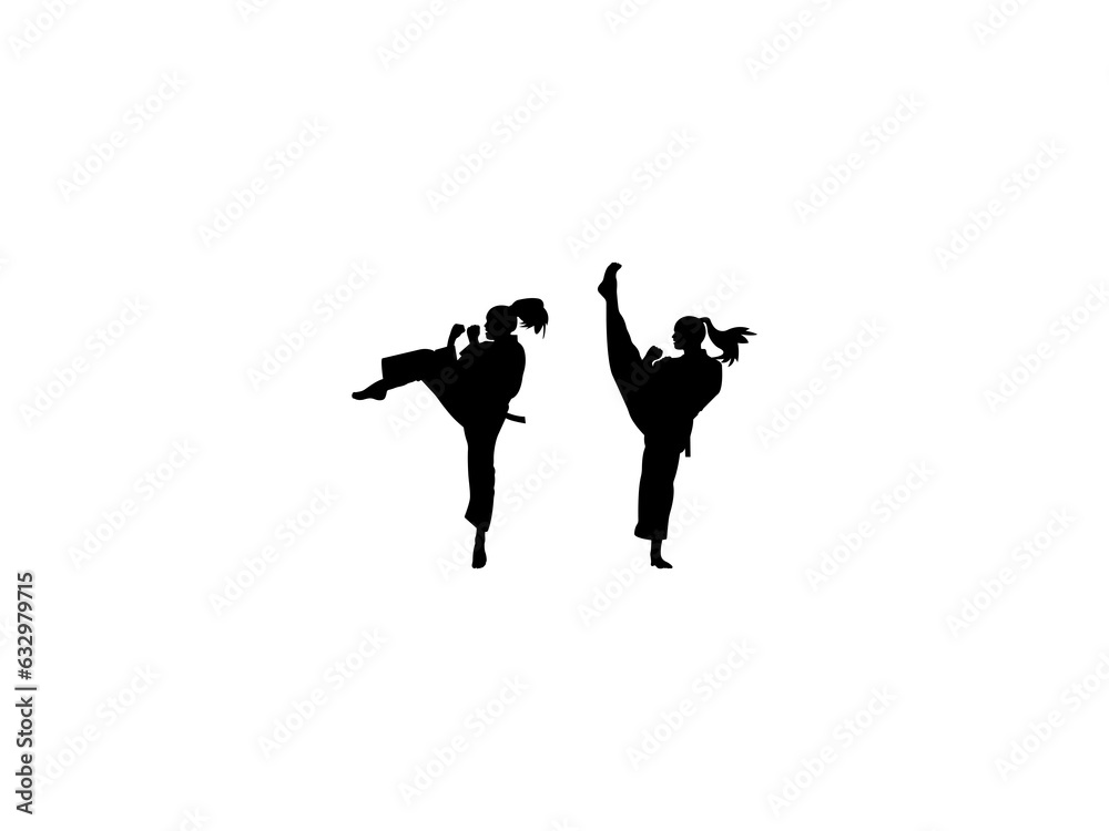 Karate Girl Silhouette Karate Girl Silhouette