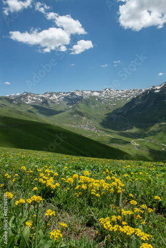 Green grass colorful flowers. Blue sky with white clouds. Kaçkar Mountains, Rize Türkiye.