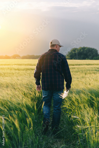 Checking the yield of grain crops at sunset. Man conducts experiments in field conditions. © Hryhor Denys