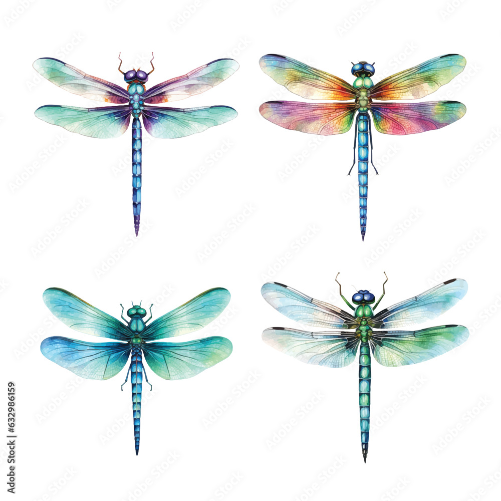  Set of dragonfly insect watercolor paint ilustration