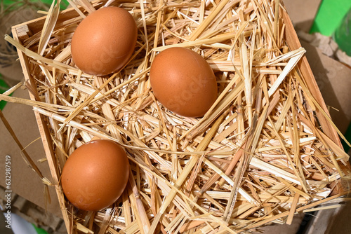 Foto Huevos de gallina organicos