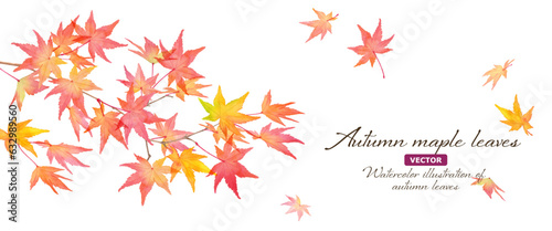 赤く色づいた秋の紅葉の枝と落葉。水彩イラストバナー背景。日本スタイル（ベクター。レイアウト変更可能）