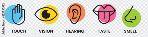 Human sense icons. Five human senses icons. Vision smell hearing touch taste senses filling, Vector illustration eps 10	