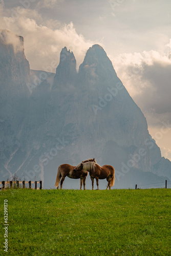 Alpe di Siusi, Dolomites, Italy