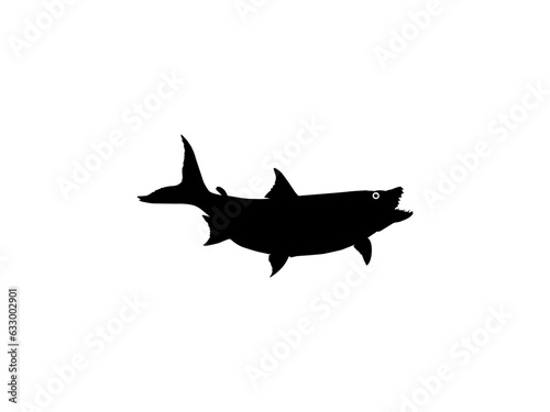 Silhouette of the Hydrocynus goliath, also known as the goliath tigerfish, giant tigerfish, or mbenga, is a very large African predatory freshwater fish of the family Alestidae. Vector Illustration