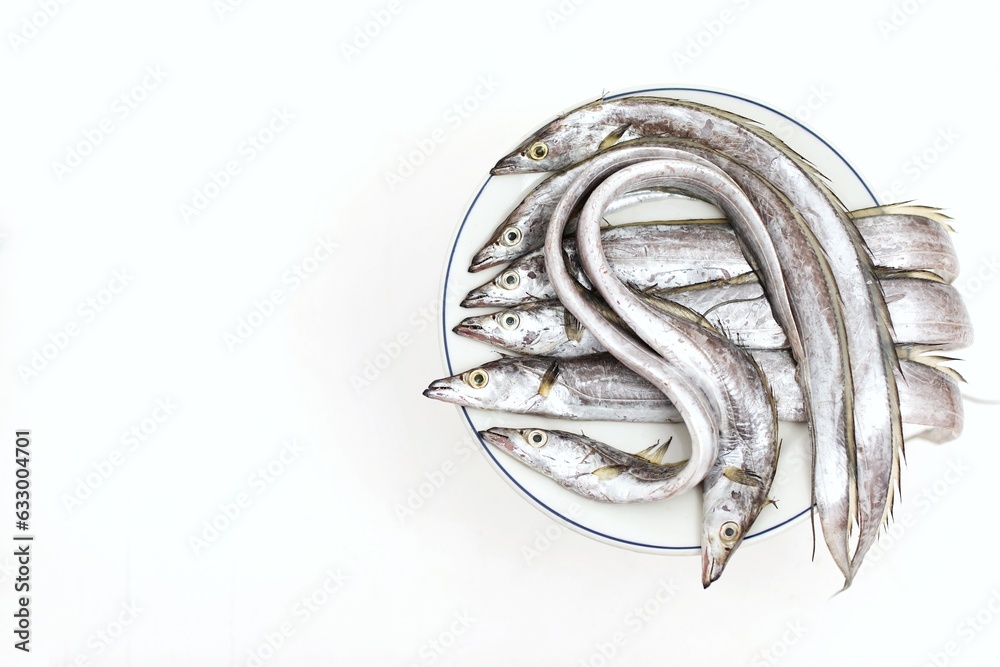 Ribbonfish, lepidopus caudatus, komira, saber fish, belt fish ikan