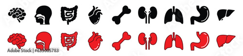 Human organs flat icons set. Bone, brain, throat, intestine, hearth, kidney, lungs, stomach, liver icon symbol in line and flat style on white background. Vector illustration