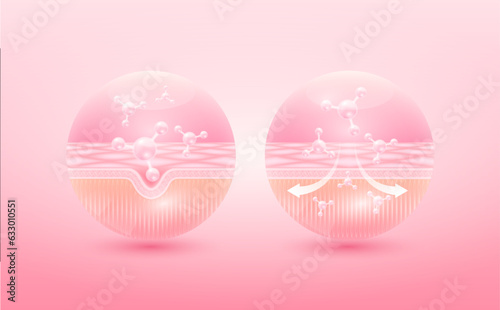 Collagen serum oil drop absorbed into the skin cell. Before and after process of getting skin younger with help of moisturizer hyaluronic acid. skin solutions for cosmetic advertising. 3D Vector EPS10