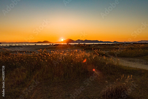 다대포 억새, 그리고 일몰