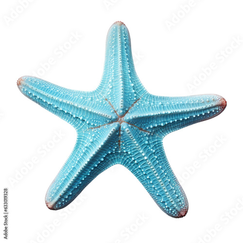 seastar isolated on white or transparent background, png