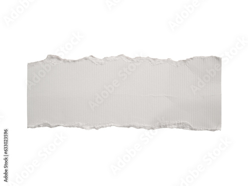 A piece of torn white paper
