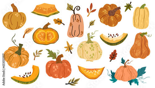Pumpkins collection. Different types of pumpkin  pieces  seeds  leaves. Autumn  harvest  fresh vegetables  Halloween. Vector hand draw illustration.