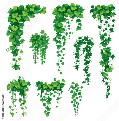 Vászonkép set of cartoon green ivy