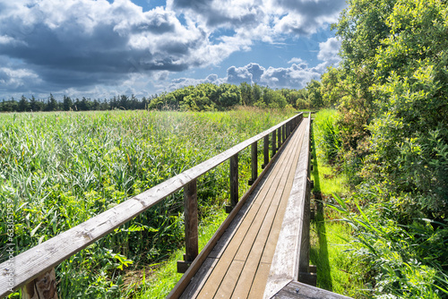 Vejlerne national protected park walking paths and bird watching stations, Denmark