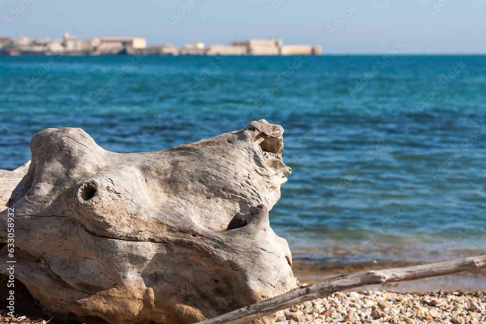 Driftwood by blue waters