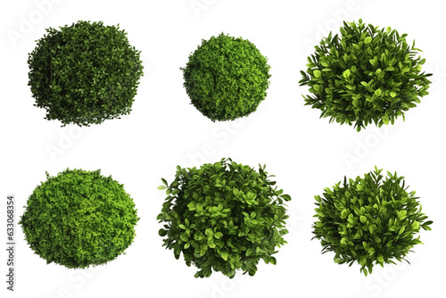 Set of green bushes isolated on transparent background cutout PNG