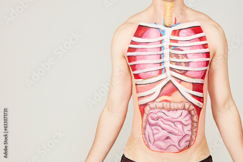 Painting of internal organs on man's body photo