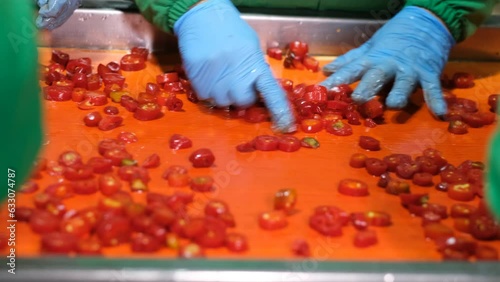 red pepper processing in food factory, food safety hygenic, fa01 photo