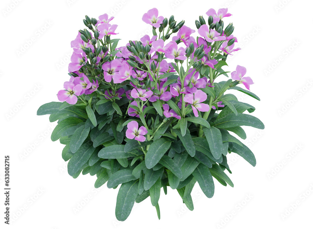 Bunch of tiny pink and purple flowers in clusters Bunch of tiny pink and purple flowers in clusters