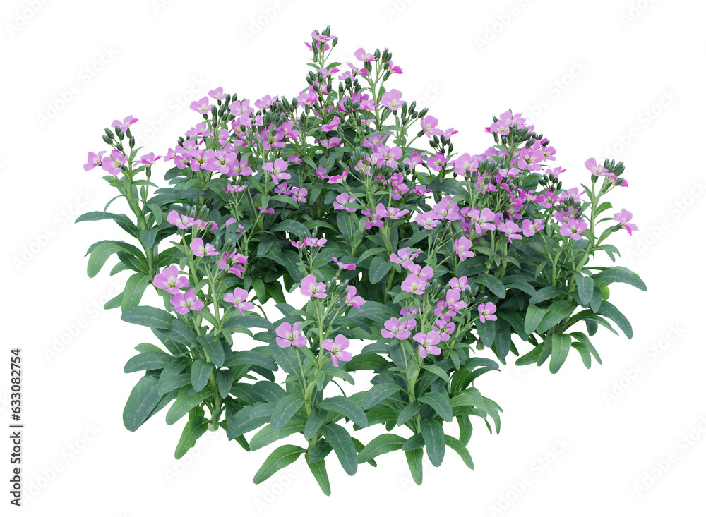 Bunch of tiny pink and purple flowers in clusters Bunch of tiny pink and purple flowers in clusters