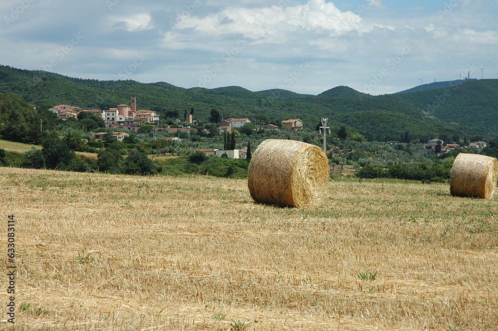 Santa Luce Nature Reserve. Province of Pisa
Reserve around the natural lake of Santa Luce. With vast territories with typical Tuscan agriculture