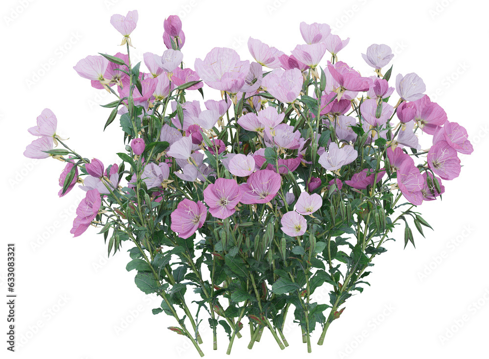 Bunch of tiny pink and purple flowers in clusters