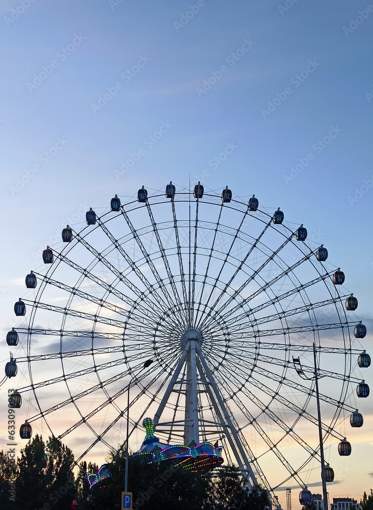ferris wheel in the park