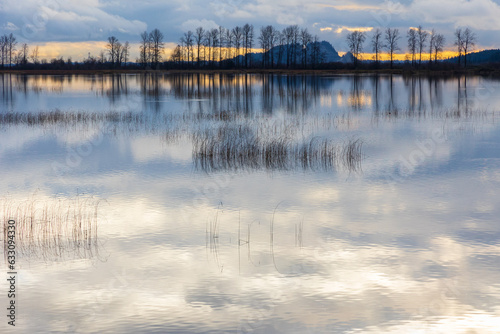The evening reflection of clouds on the water in marshland.