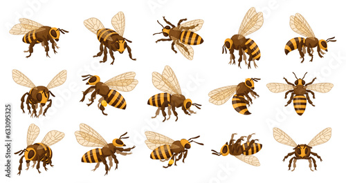 Honey bee set. Cartoon flying insects, winged honeybee, cute striped bumblebee insects flat vector illustration collection. Bee insects