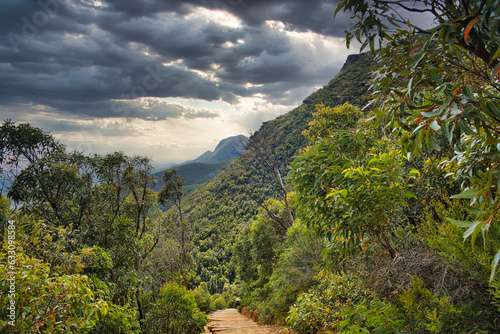 View from the steep Bluff Knoll Hiking Trail in Stirling Range National Park, Western Australia. Indigenous vegetation and several peaks of the Range under dark clouds.
