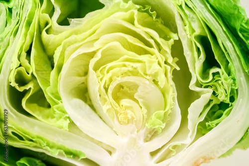 Sliced through fresh green cabbage