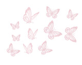 butterflies and butterfly set