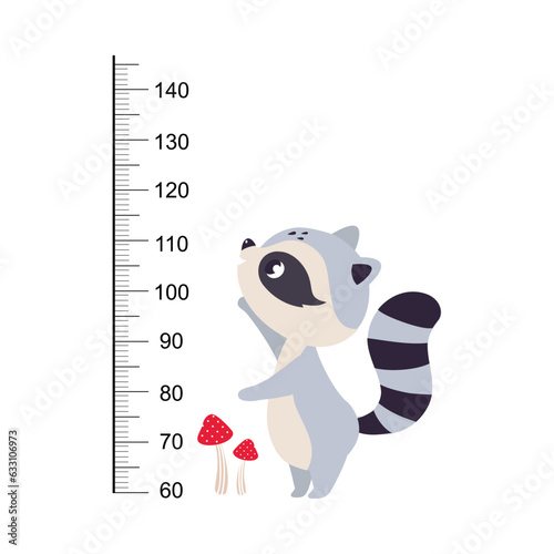 Growth Ruler with Cute Raccoon Animal at Kids Height Meter Vector Illustration