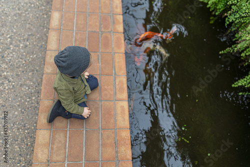Quadro em tela curious independent toddler boy child looks at gold coy fish pond while explorin