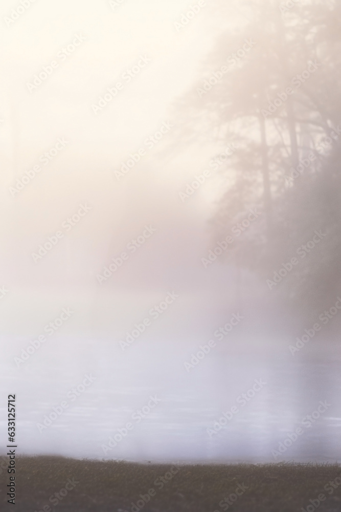 Fototapeta premium foggy lake with trees in the mist.