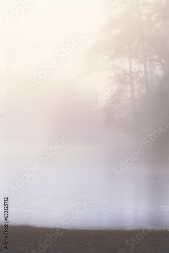 foggy lake with trees in the mist.