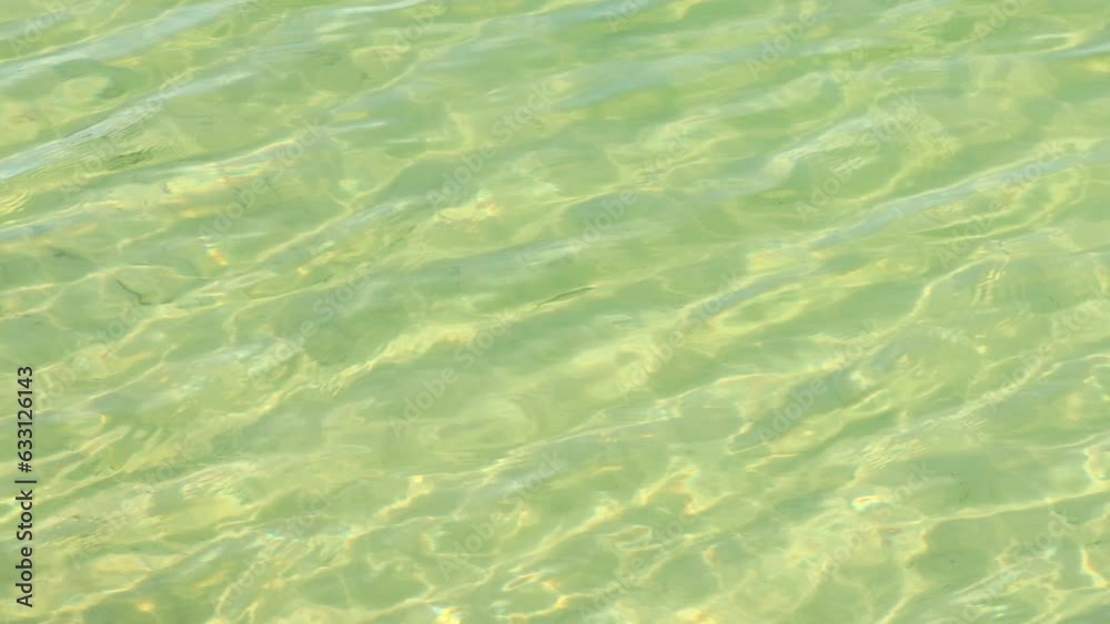 The surface of the water on the lake in the sun in the summer The surface of the water on the lake in the sun in the summer
