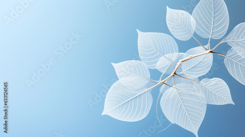 A graceful, pale white leaf with intricate skeletal patterns set against a soft, light blue background adorned with circular bokeh. An evocative and artistic representation capturi 