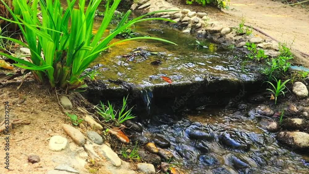 Decorative stone stream with clear spring water in a nature reserve, forest, wood. Calm video of nature. Pure mountain agua falling running down. Calm relaxation background. Slow motion of wild nature Decorative stone stream with clear spring water in a nature reserve, forest, wood. Calm video of nature. Pure mountain agua falling running down. Calm relaxation background. Slow motion of wild nature
