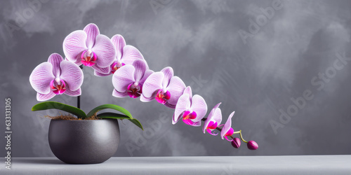 Beautiful Phalaenopsis orchid flower in a pot on a gray background. Generative AI.
