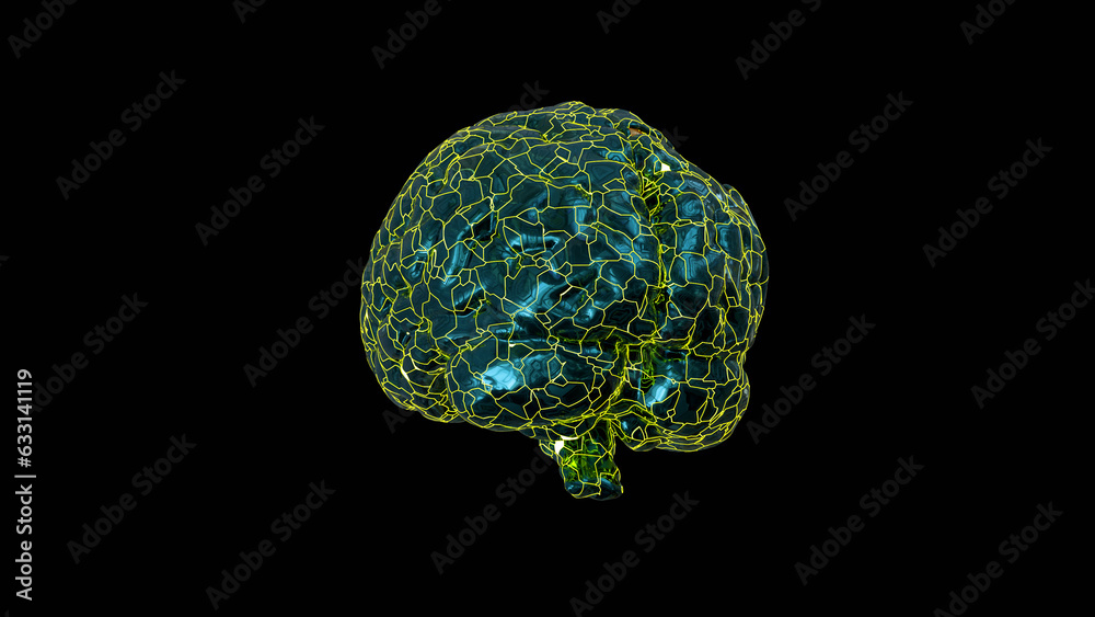 States of Mind States of Mind